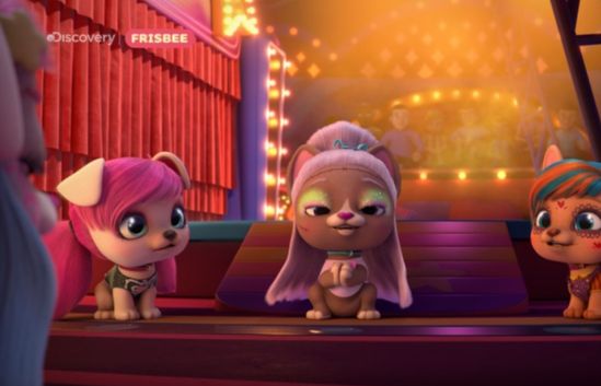 Nieobecne w Polsce kanały Discovery nadawane z pojemności TVN