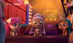 Nieobecne w Polsce kanały Discovery nadawane z pojemności TVN