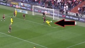 Ależ się złożył do tego strzału. Nawet Ibrahimović kiwnąłby głową z uznaniem