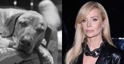 Agnieszka Woźniak-Starak żegna czworonożnego przyjaciela: "Do zobaczenia Boluś. Byłeś wspaniałym psem"