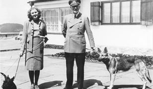 Chciałbyś, żeby Hitler traktował Cię jak psa? Najpierw sprawdź, czy rzeczywiście obchodził się ze zwierzętami lepiej niż z ludźmi