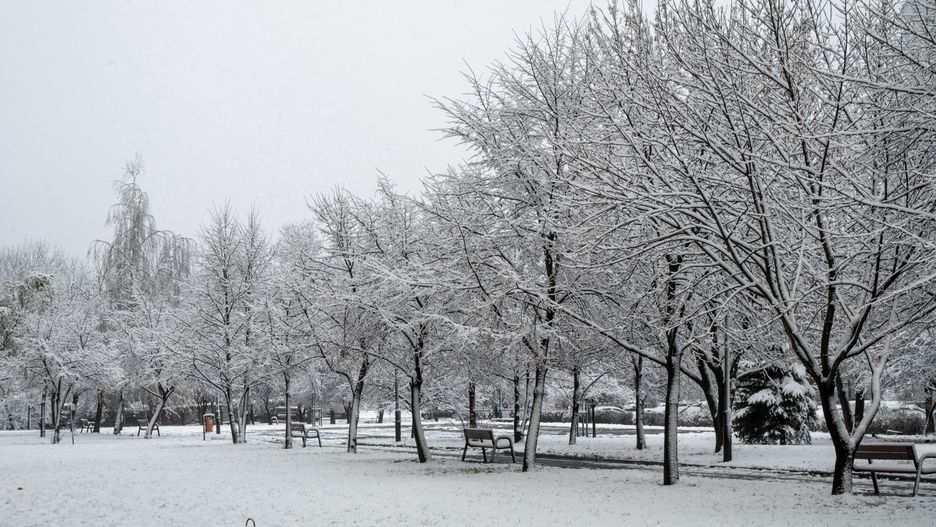 IMGW ostrzega przed śnieżycą. Nawet 15 cm śniegu
