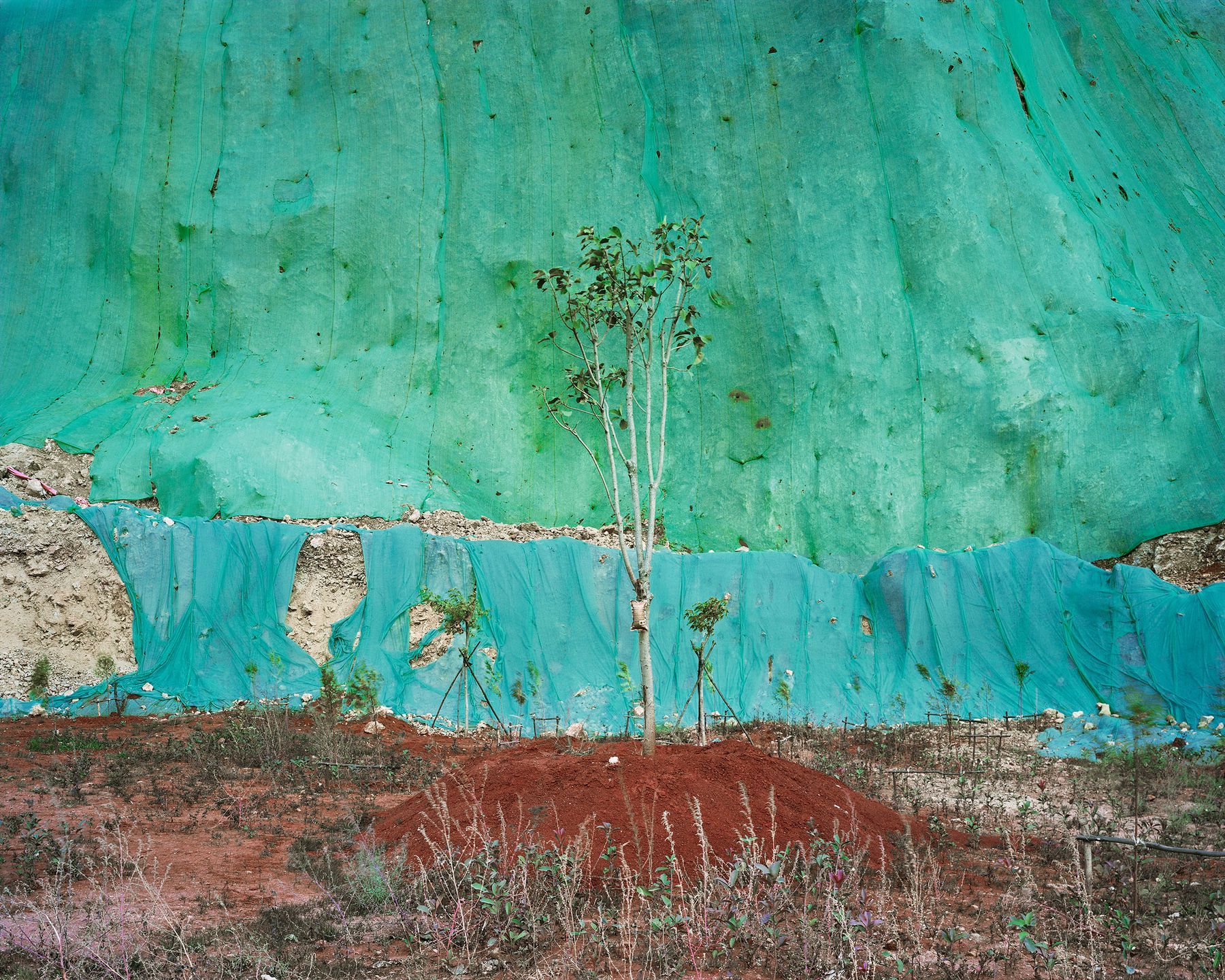 Kontrowersyjny materiał o samobójstwach wygrał Sony World Photography Awards 2019 102