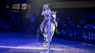 Poznań: Mikołajkowa sobota na Cavaliadzie. Trzeci dzień jeździectwa