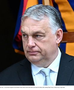 Sojusznicy Polski przejdą "test"? Ekspert o rozwązaniach