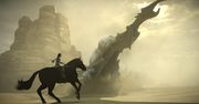 Remake Shadow of the Colossus - ale po co recenzja?
