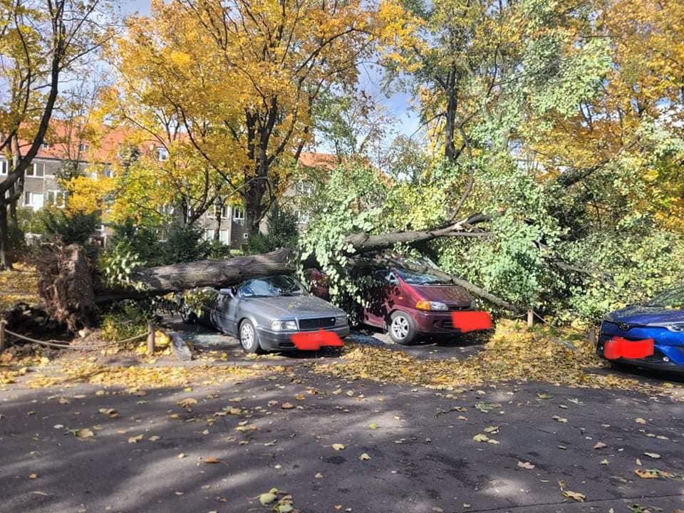 Wichura szaleje! Zniszczone samochody, przewrócone drzewa i uszkodzona katedra