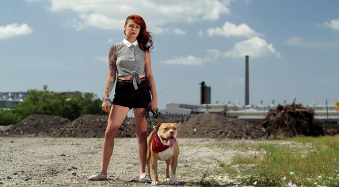 Resocjalizacja z Pit Bullem