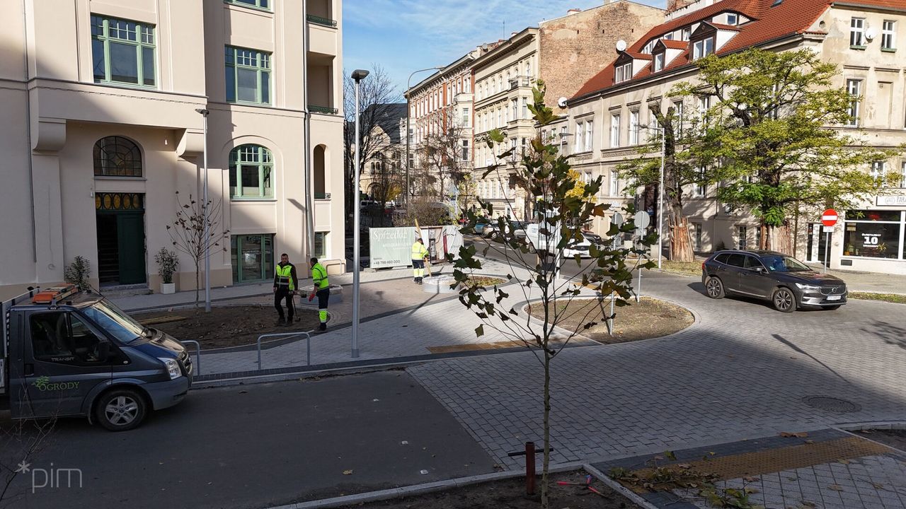 Poznań: Skrzyżowanie Taylora, Taczaka i Kościuszki z nasadzeniami