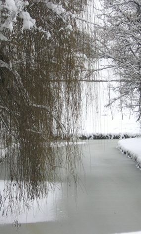 Kolejny mroźny dzień