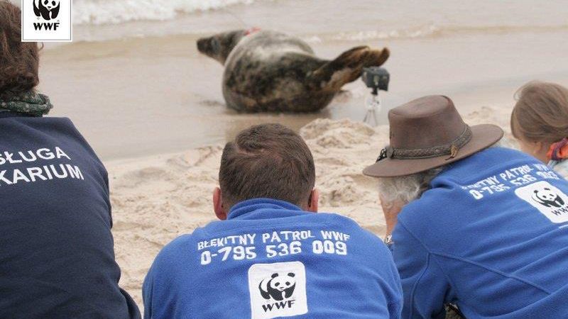 Zakazy związane z koronawirusem zablokowały wiele inicjatyw ekologicznych. 