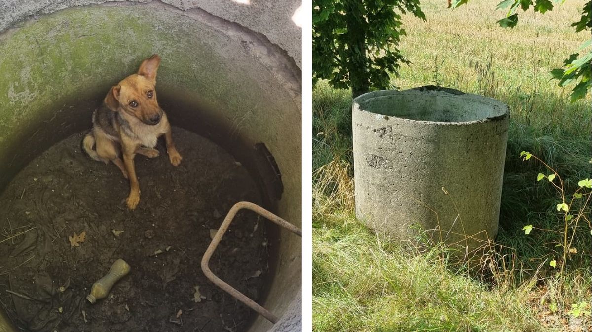 Złapali go i wrzucili do studni. Na koniec zasunęli betonowy właz