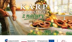 Zbliżają się święta - rusza kampania promująca karpia