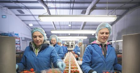 Planujesz pracę sezonową? Nie obejdzie się bez "książeczki" sanepidowskiej