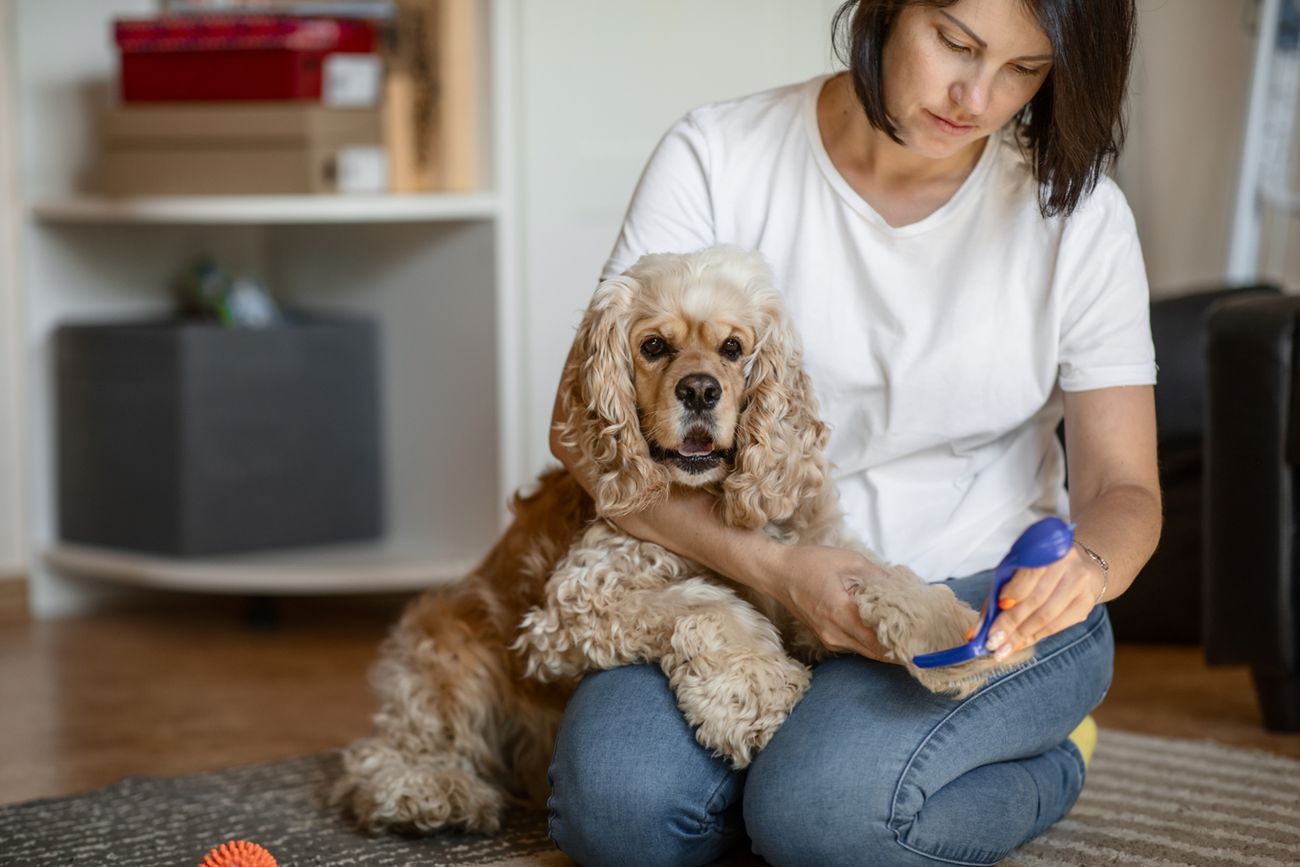Objawy AZS może zaostrzyć kontakt z alergenami, m.in. sierścią zwierząt
