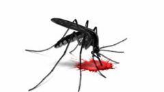 Telefon w walce z komarami 1