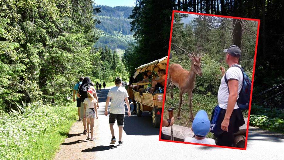 morskie oko