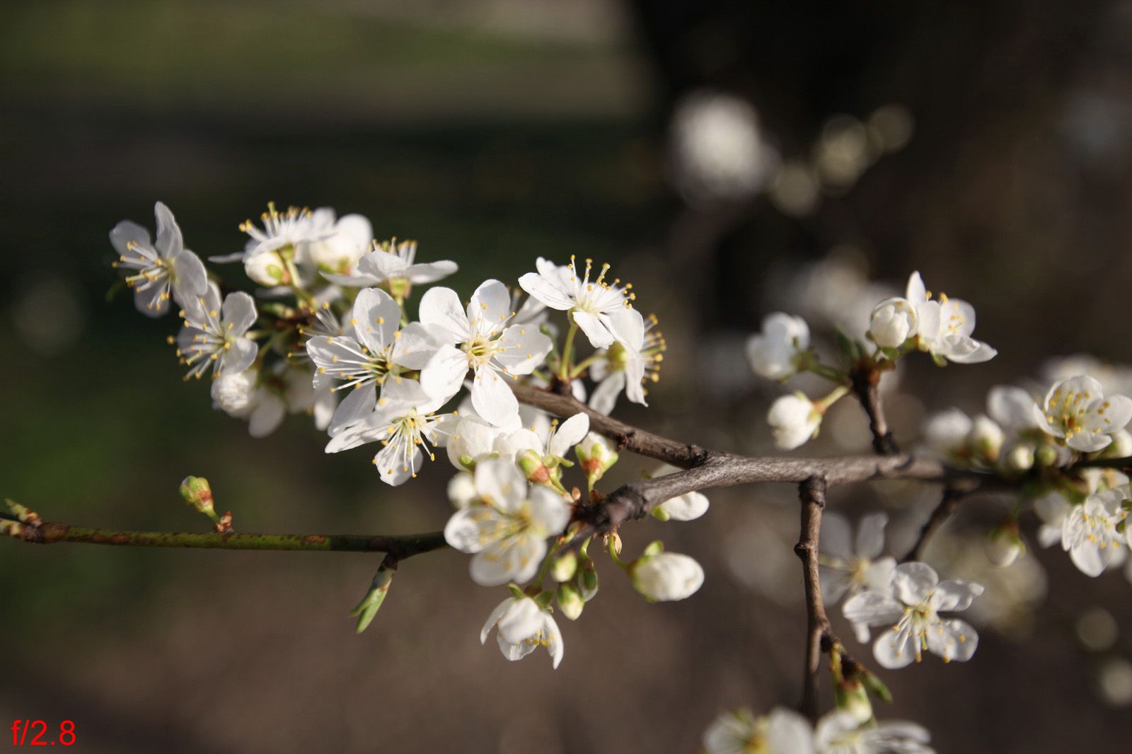 Tamron 15-30 mm f/2.8 – superszeroko i ze stabilizacją [test] 17