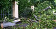 Zniszczenia po nawałnicy w zabytkowym parku w Łańcucie