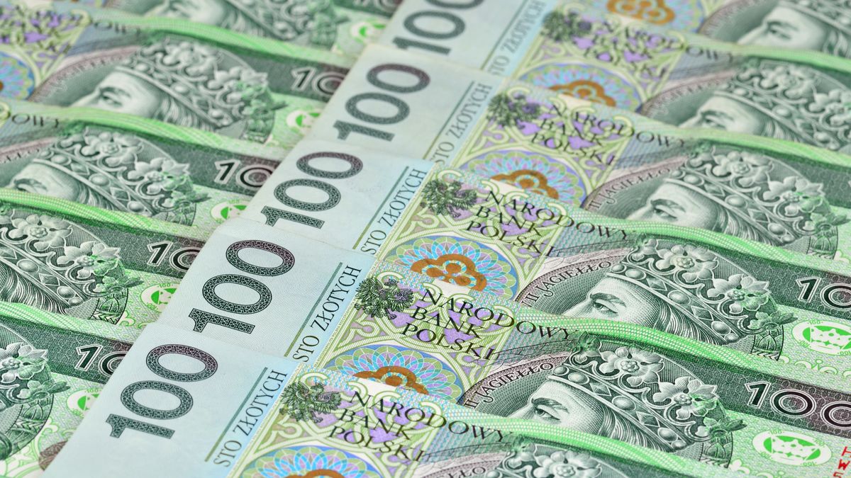 Polish banknotes laying in a row. 100 PLN. Poland.
money, polish, banknote, bill, Poland, zloty, zl, cash, currency, PLN, tax, government, savings, income, earnings, economy, finance, salary, value, pay, payment, profit, bank, national, 100, green, budget, outcome, return, nobody, background
