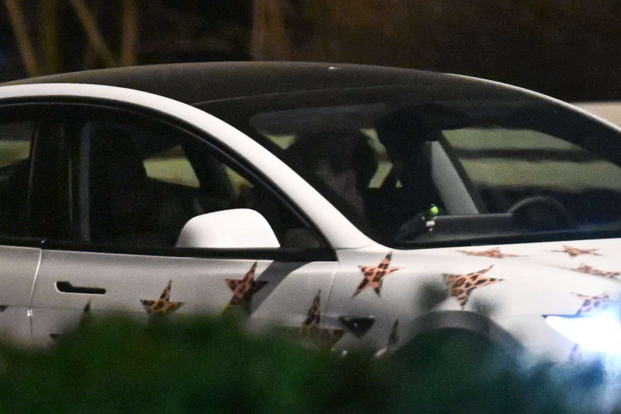 Magda Tarnowska i Bagi na nocnym spotkaniu