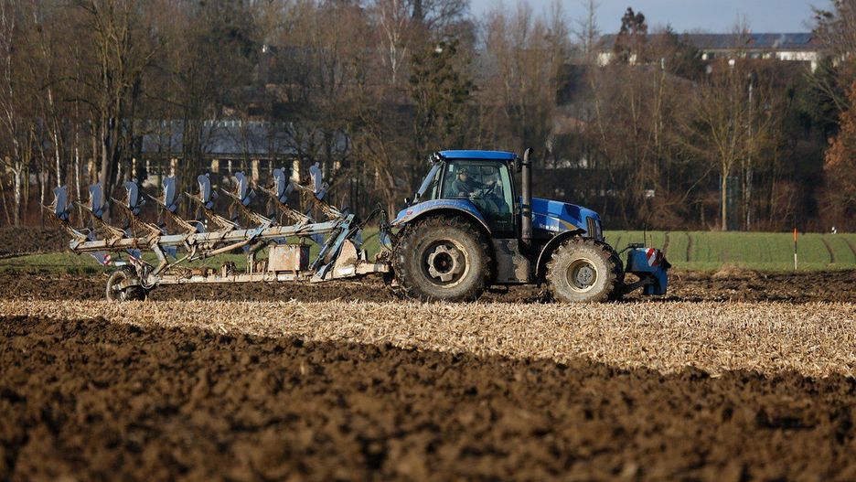 Ceny pługów rolniczych wykazują ogromną rozpiętość, wahając się od kilku tysięcy złotych za proste, małe lub używane modele do kwot przekraczających sto tysięcy złotych za nowoczesne, wieloskibowe pługi obrotowe renomowanych producentów (jak Lemken czy Kverneland).