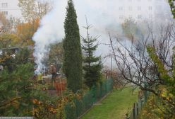 Zaczęło się. Dym aż gryzie w oczy. Przepisy mówią jasno