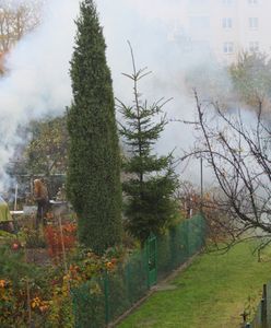 Zaczęło się. Dym aż gryzie w oczy. Przepisy mówią jasno