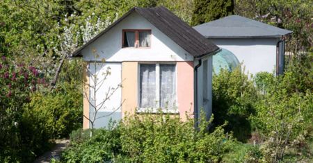 Masz "abisynkę" na działce? Grzywny są wysokie