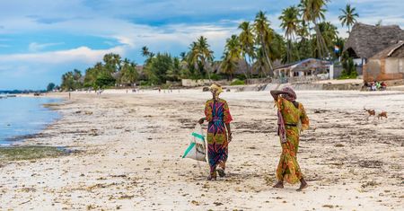 Polacy utknęli w dżungli. Nie wrócą już na Zanzibar