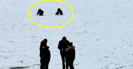 Groza w Sopocie. Weszli na Bałtyk. Lód nagle strzelił