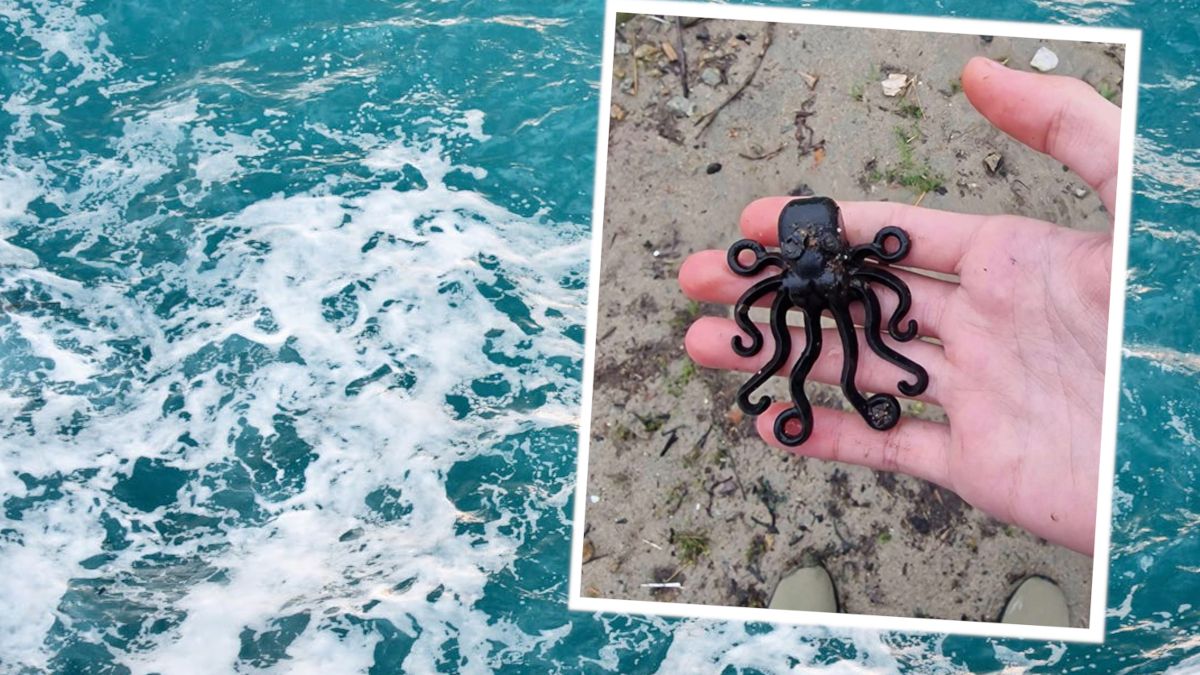 Niezwykłe znalezisko na plaży.