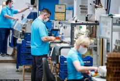 Ukraińcy chcą zostać w Polsce. Są dobrze wykształceni i mówią po polsku