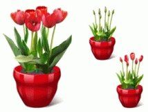 Obrazek: Virtual Flower Pot