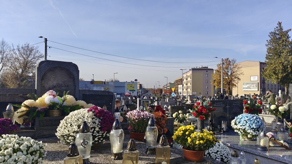 Przewijaj w dół, aby przejść do następnych zdjęć!