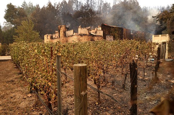 Pożary winnic w Kalifornii.