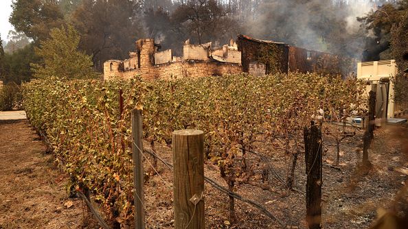 Zdjęcie dnia. Ogień trawi kalifornijskie winnice 1
