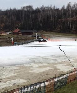 Śląskie. Koronawirus. Zjeżdżali na sankach, ćwiczyli na siłowni. Policja pilnuje
