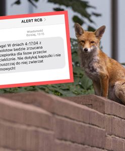 Alert RCB. Ważna informacja dla właścicieli psów i kotów