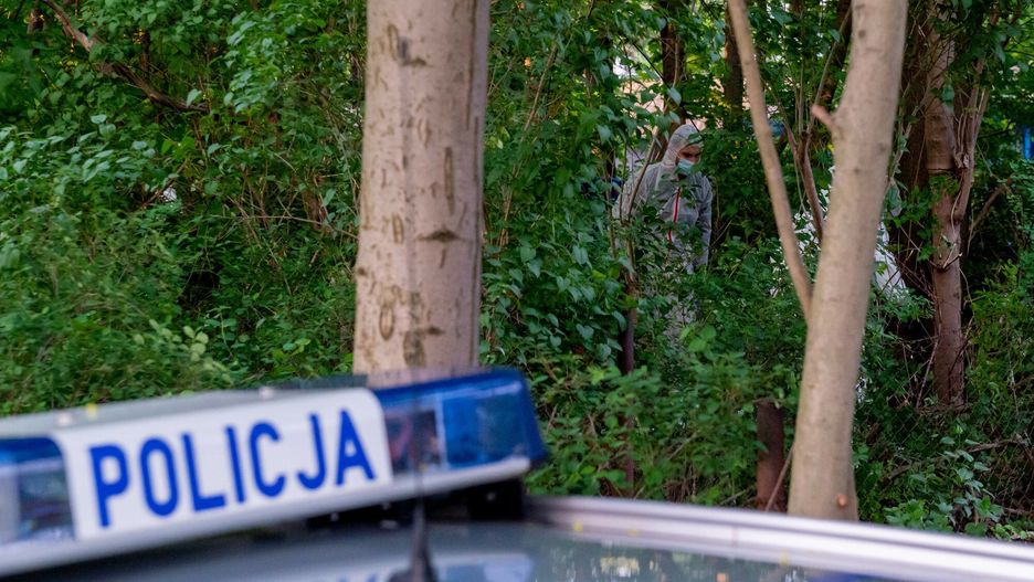 Do tragicznego zdarzenia doszło w poniedziałek wieczorem niedaleko Wołomina