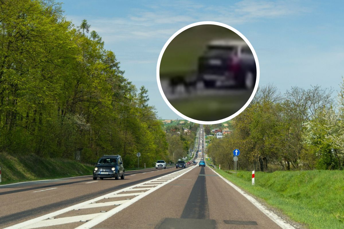 Mężczyzna przypiął psy do samochodu i ciągnął je za sobą