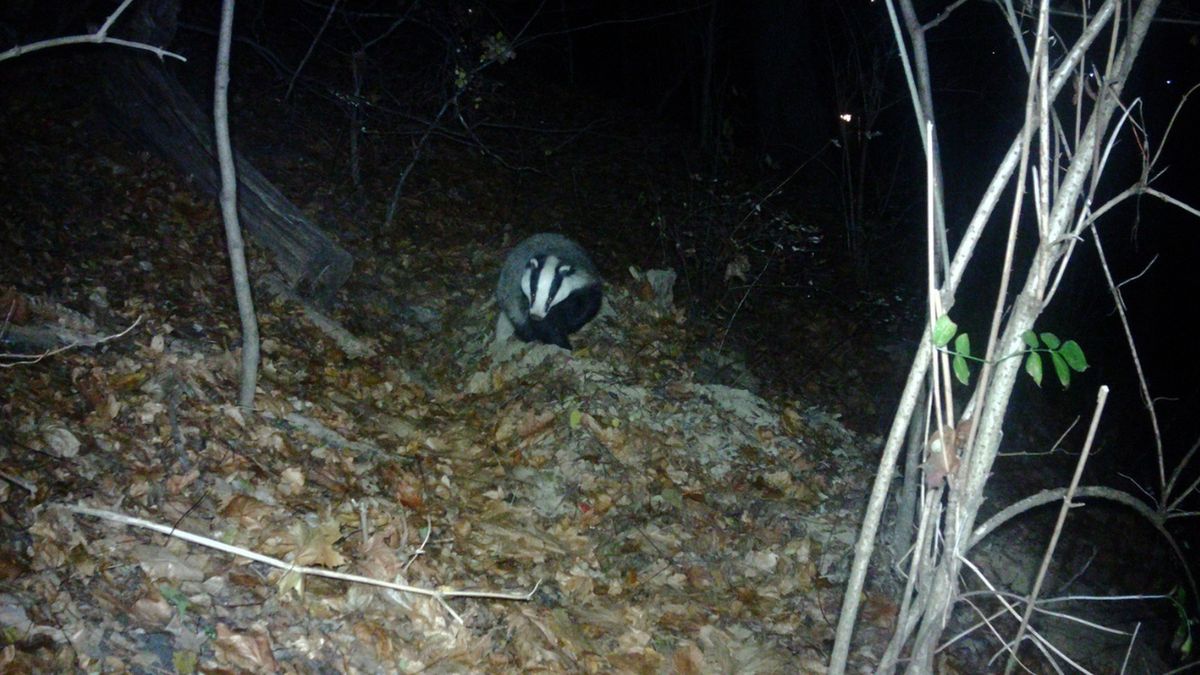 Nowy lokator w historycznym miejscu. "Trzymamy kciuki"