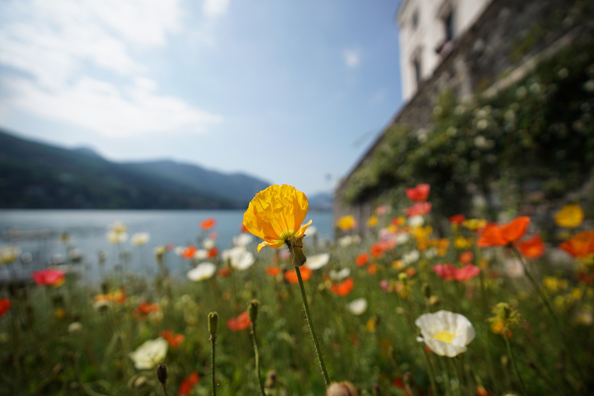 Sony FE 16-35 mm f/2.8 GM oraz Sony FE 12-24 mm f/4 G - zdjęcia przykładowe wykonane A9 i pierwsze wrażenia 8