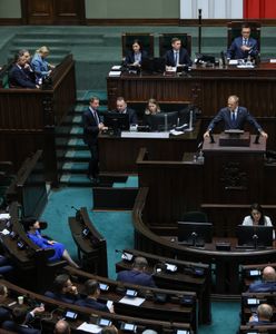 Nowy sondaż partyjny. Mocny debiut formacji Brauna