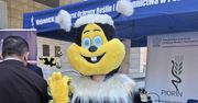 Poznań: Jak rozpoznać prawdziwy, dobrej jakości miód? "Kluczowe są krystalizacja i oznaczenia"