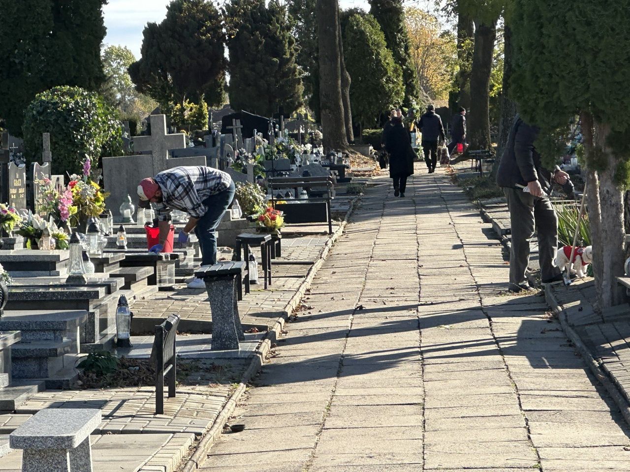 Kujawsko-Pomorskie: Długoterminowa prognoza pogody. Taka będzie pogoda na Wszystkich Świętych i początek listopada