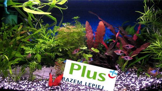 Nowy Mix4 duo w Plusie - po prostu dno! 1