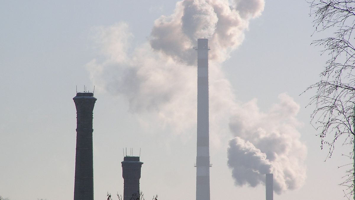 Dzieci z Rybnika sikają czarnym węglem