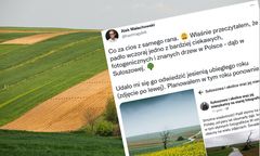 Małopolska. Runęło słynne "drzewo wisielców"