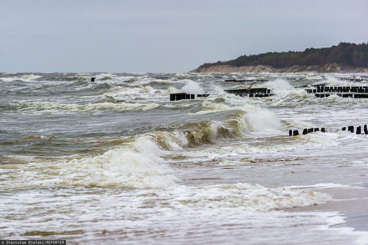 W niedziele synoptycy spodziewają się silnego wiatru. Na Bałtyku możliwy jest sztorm